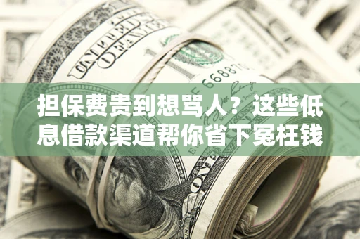 济南担保费贵到想骂人？这些低息借款渠道帮你省下冤枉钱