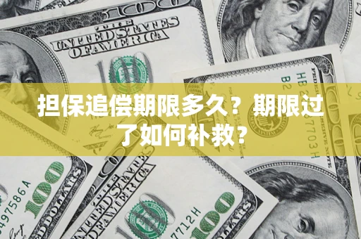 济南担保追偿期限多久？期限过了如何补救？
